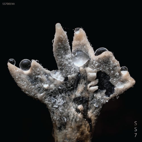 Cover art for SS7.001VA
