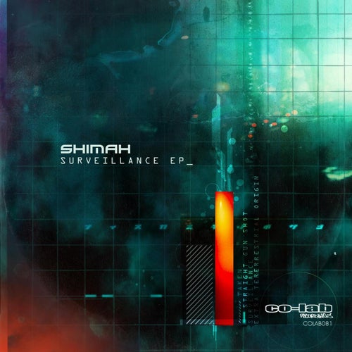 Surveillance EP