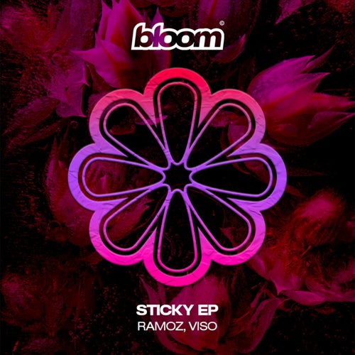 Bloom Sound Music & Downloads on Beatport