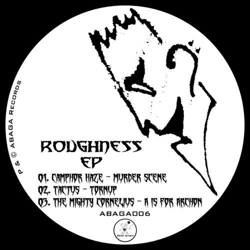 Roughness EP