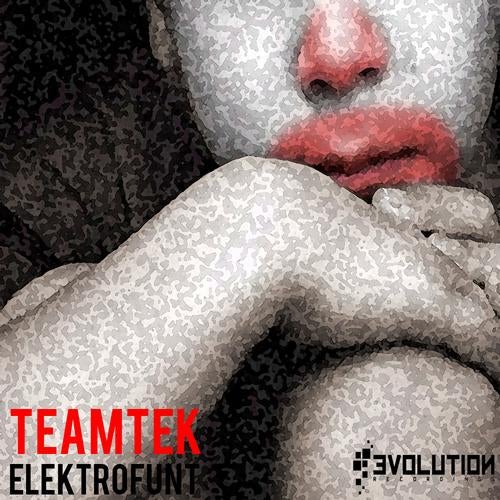 Elektrofunt