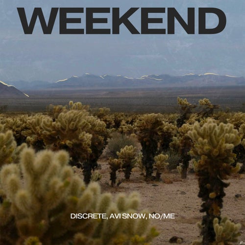 Cover art for Weekend