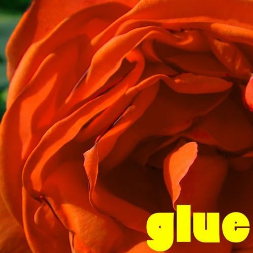 Glue