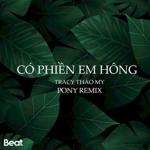 Có Phiền Em Hông (Beat Pony Remix)