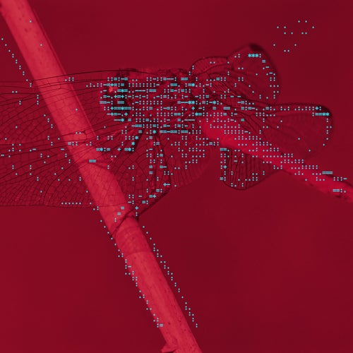 Unconditional (Xinobi Remix)