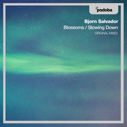 Blossom / Slowing Down