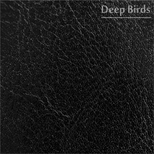 Deep Birds