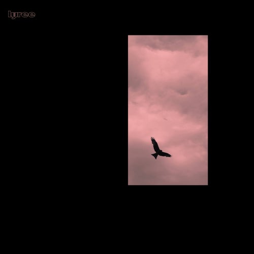 Cover art for Kuruka