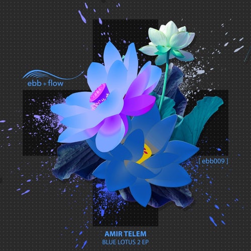 Blue Lotus 2