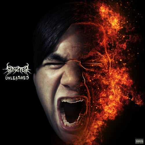 Unleashed