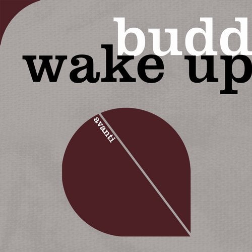 Cover art for Wake Up