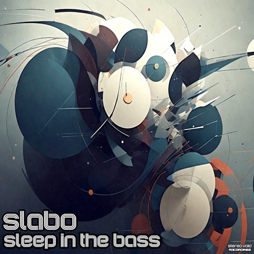 Sleep in the Bass
