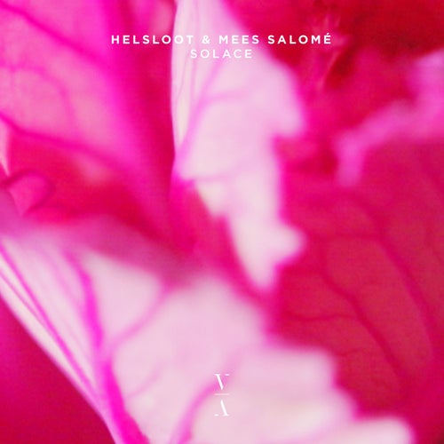  Helsloot & Mees Salome - Solace (2025) 