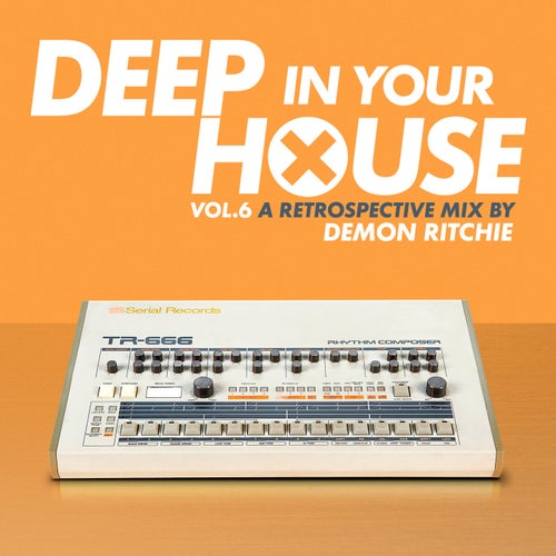 Deep in Your House - Vol 6 - Classic Hits Selected by Demon Ritchie