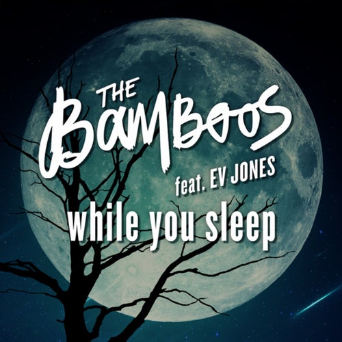 While You Sleep