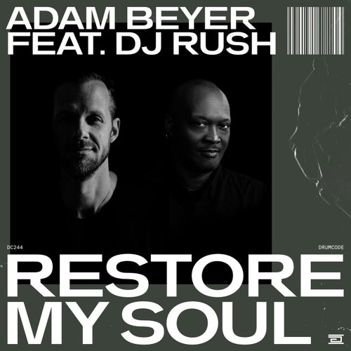Cover art for Restore My Soul