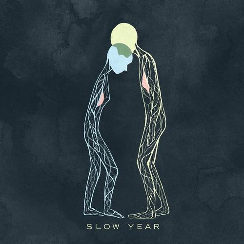 Slow Year