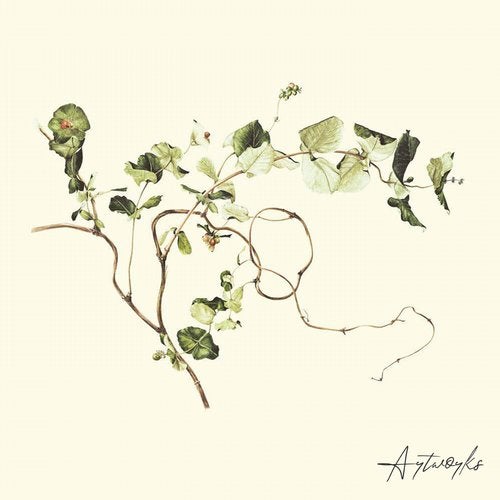 Cover art for Vines