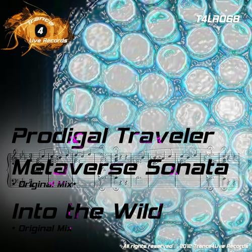 Metaverse Sonata / Into The Wild