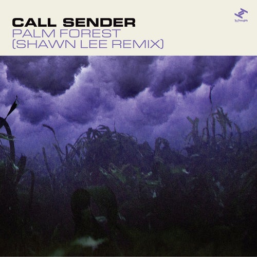 Palm Forest (Shawn Lee Remix)