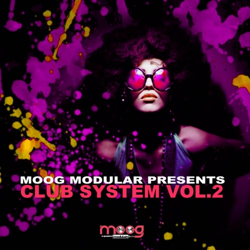 Club System, Vol. 2 (Moog Modular Presents)