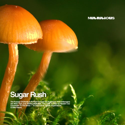 Sugar Rush