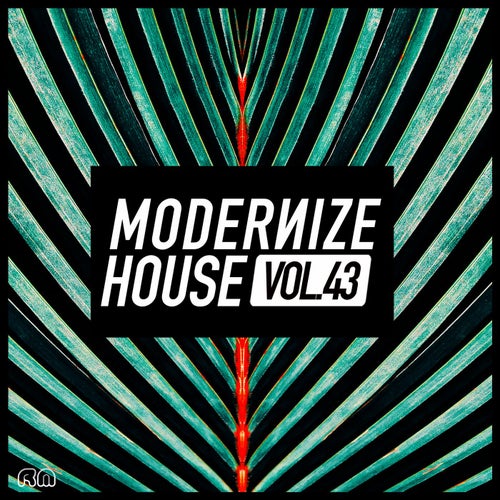 Modernize House Vol. 43