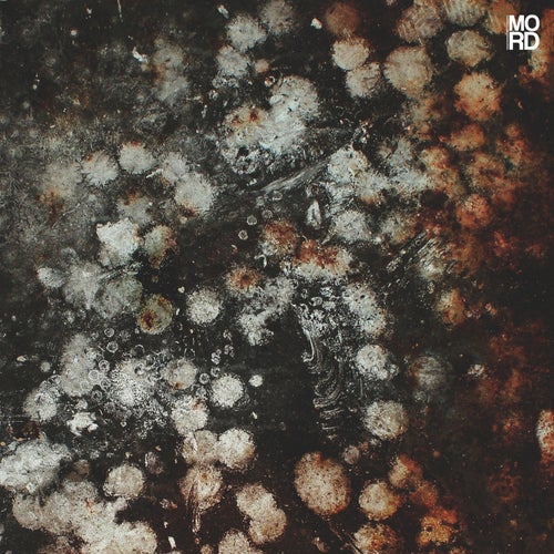 Ego Sum EP