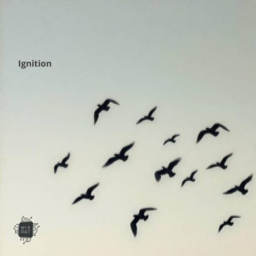 Ignition [2025] - Minimal / Deep Tech,Techno (Raw / Deep / Hypnotic) albüm kapağı