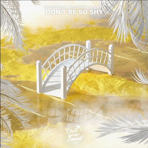 Don T Be So Shy Original Mix By Axyl Rushin Sp3ctrum On Beatport