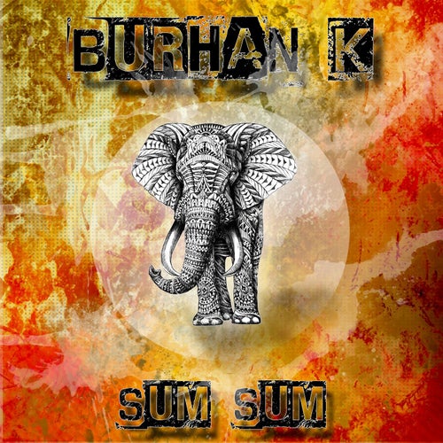 Sum Sum