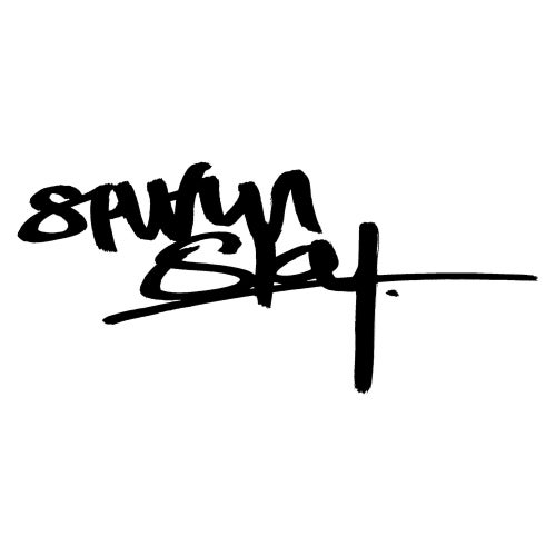 Shaun Sky