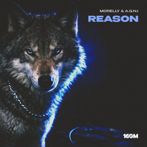 Reason