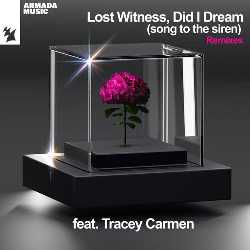 Did I Dream (Song To The Siren) - Remixes