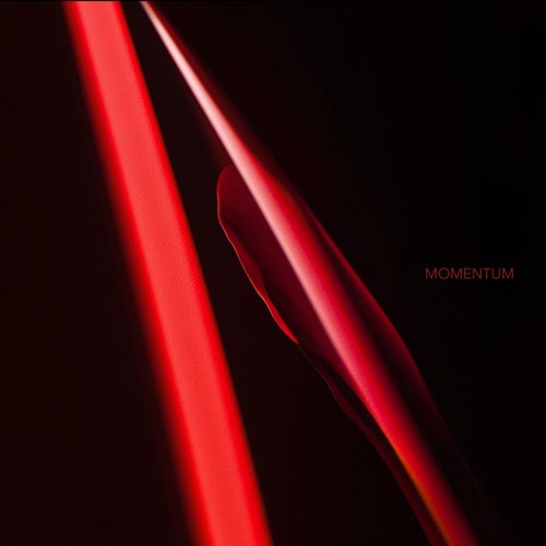 Momentum