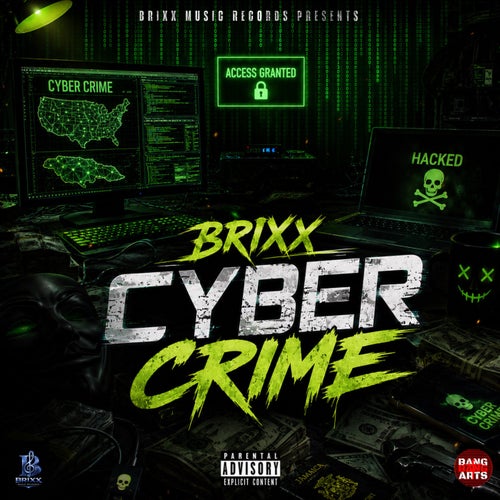 Cyber Crime