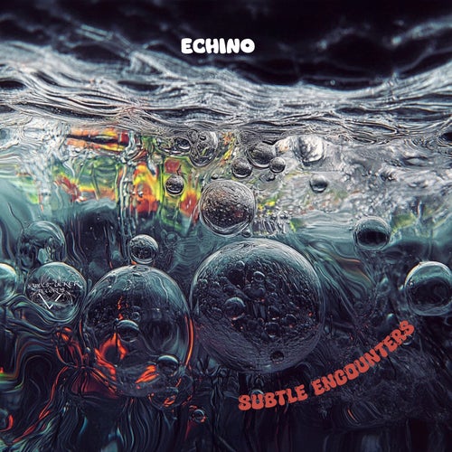  Echino - Subtle Encounters (2025) 