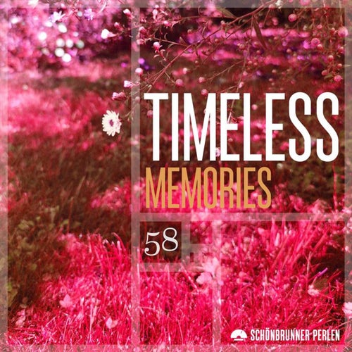 Timeless Memories