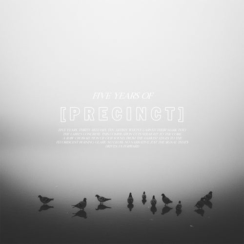 Five Years of Precinct