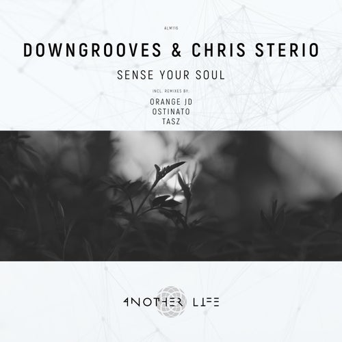 Chris Sterio - Sense Your Soul (TasZ Remix).mp3