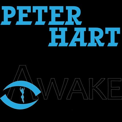 Cover art for Awake