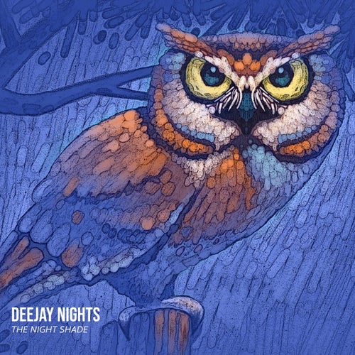 Cover art for The Night Shade