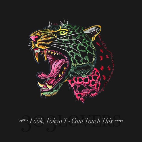 Can't Touch This