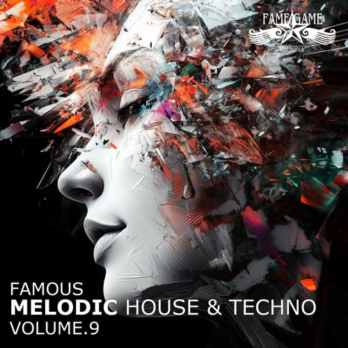 Famous Melodic House and Techno, Vol. 9