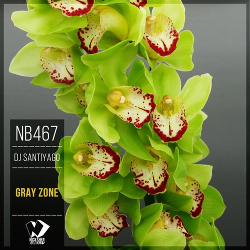 Gray Zone