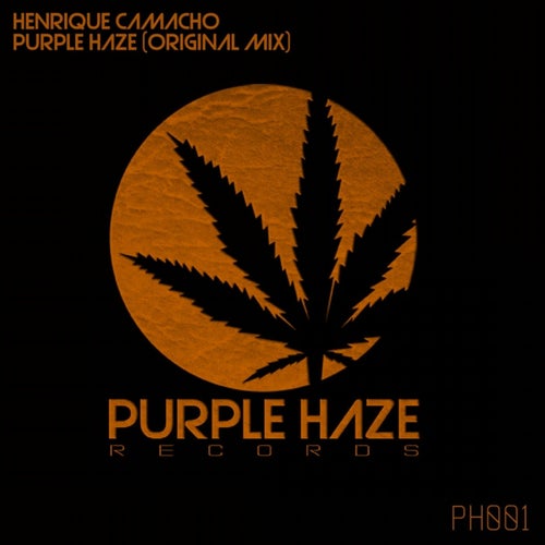 Purple Haze