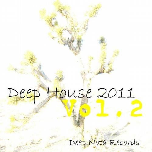 Deep House 2011 - Volume 2