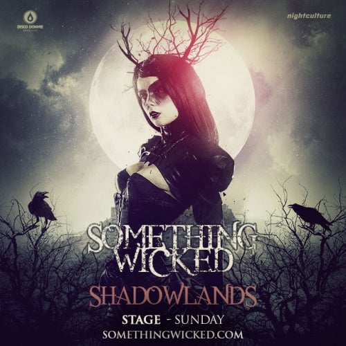 SWF 2014: Shadowlands Stage (Sunday)