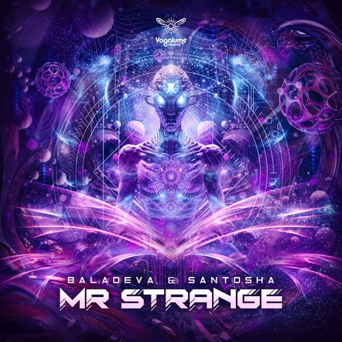 VA - Baladeva & Santosha Live - Mr Strange (2023) (MP3)