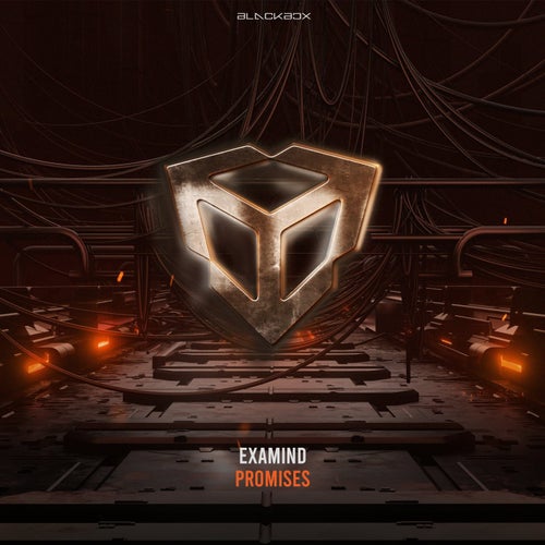 Promises